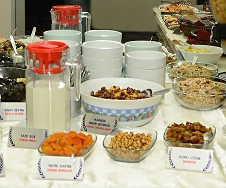 ホテル アンザック チャナッカレ